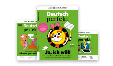 Изучение немецкого языка – с Deutsch perfekt