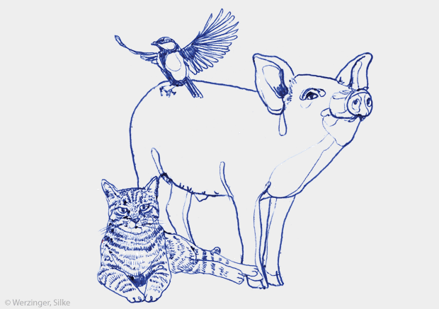 Illustration: Katze, Schwein, Meise