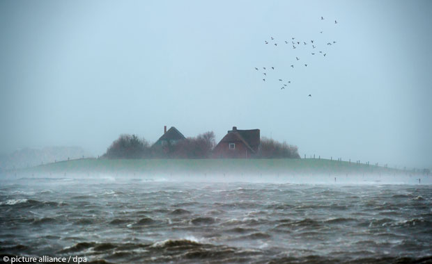 Hallig in der Nordsee