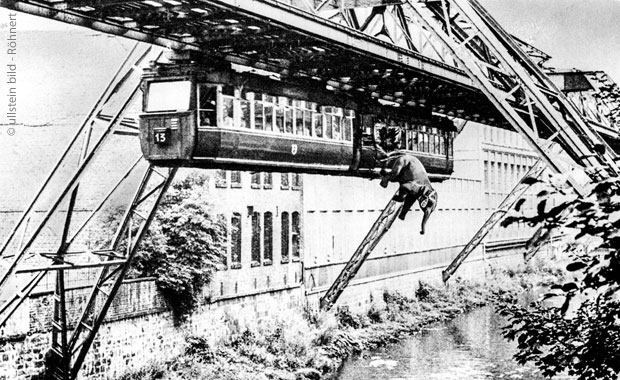 Elefant springt aus einer Schwebebahn