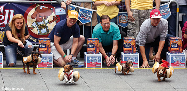 Zinzinnati-Oktoberfest: Running of the Wieners