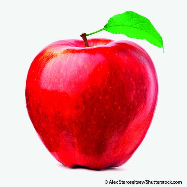Apfel