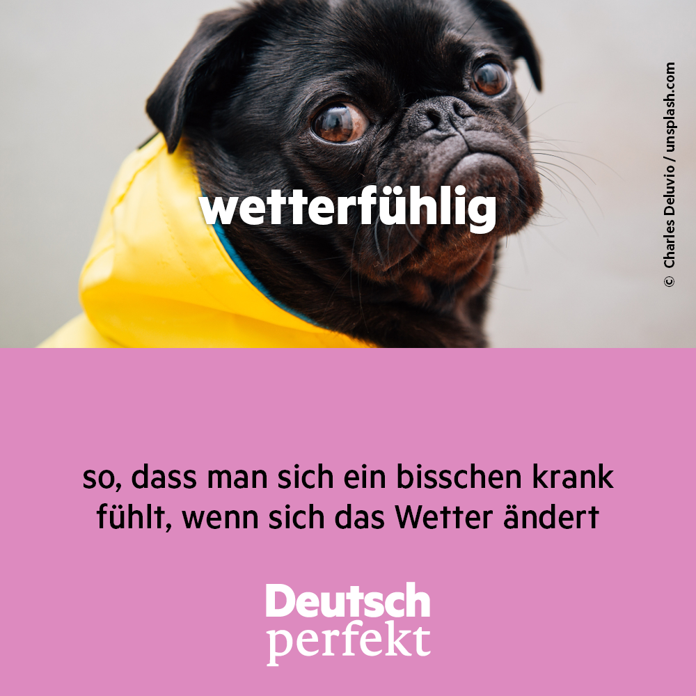 Deutsch Nobody Is Perfect Sprüche Psalm 46,2 Psalmen, Glaube zitate