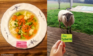 Foto von einer Suppe und einem Schaf mit Post-it mit entsprechendem Wort darauf