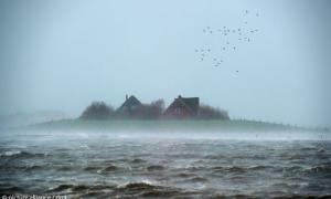 Hallig in der Nordsee