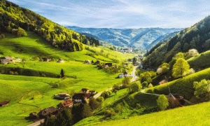 Landschaft