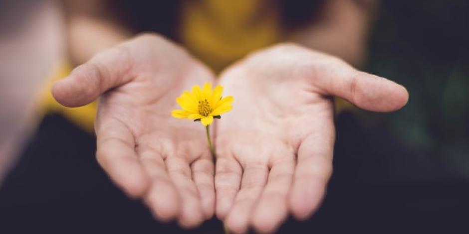 ausgestreckte Handflächen mit Blume darauf