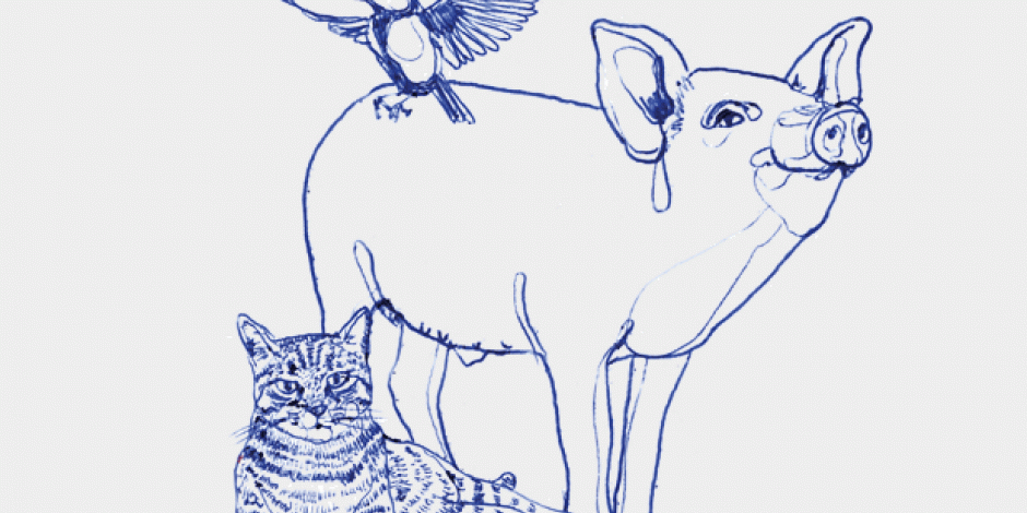 Illustration: Katze, Schwein, Meise