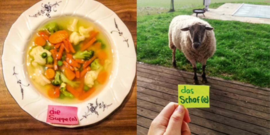Foto von einer Suppe und einem Schaf mit Post-it mit entsprechendem Wort darauf