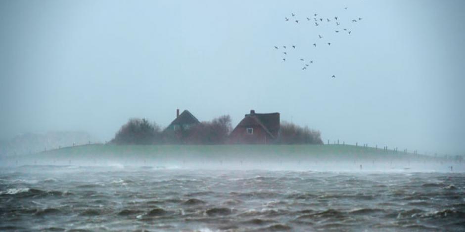 Hallig in der Nordsee