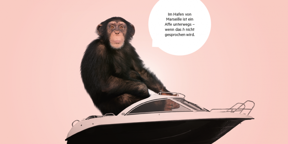 Affe sitzt in einem Boot