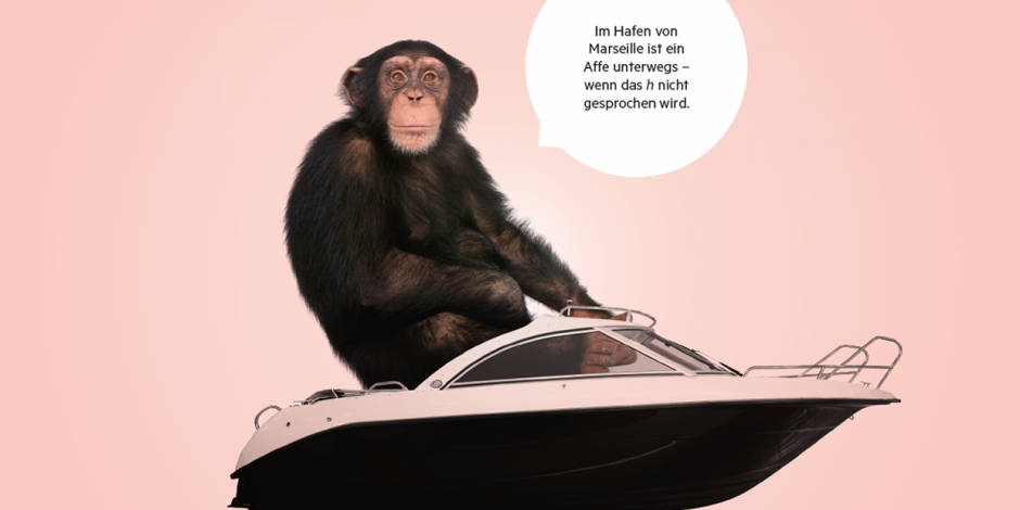Affe sitzt in einem Boot
