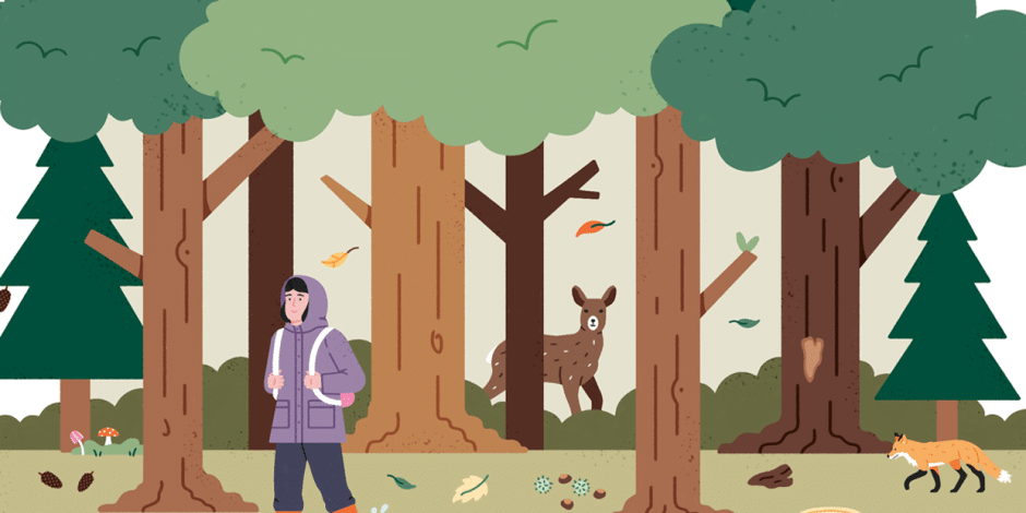 Illustration: Im Wald