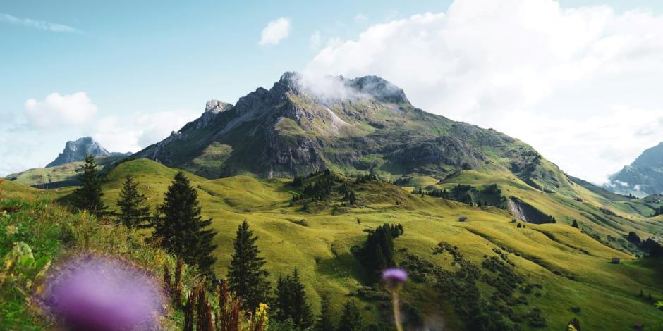 Berg