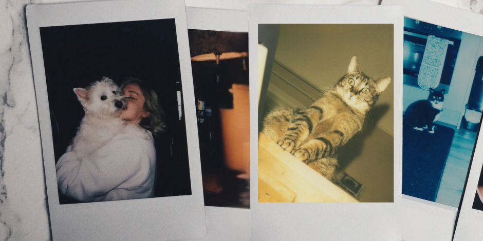 Polaroids
