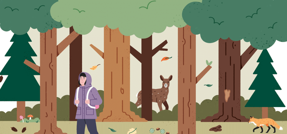 Illustration: Im Wald