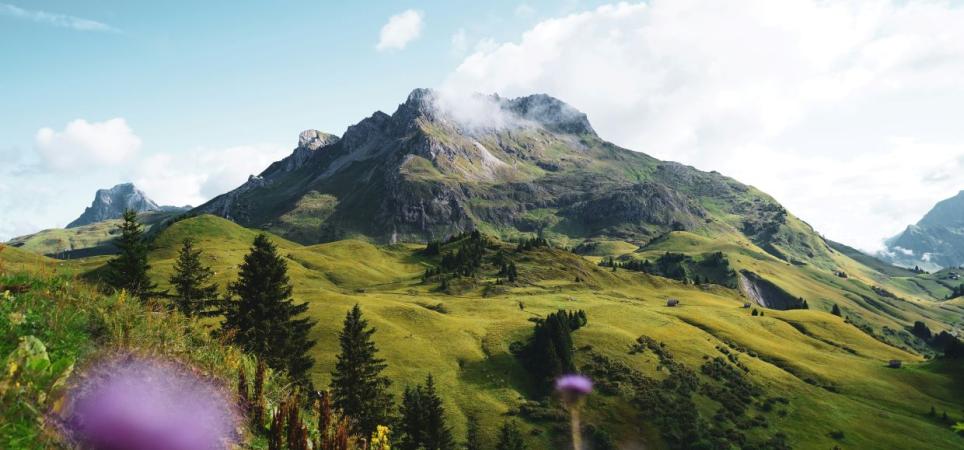 Berg