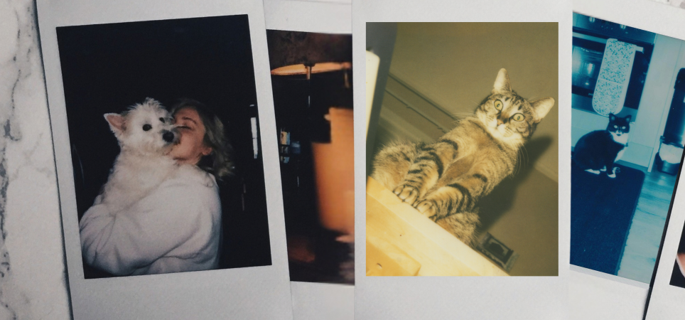 Polaroids
