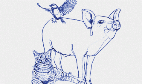Illustration: Katze, Schwein, Meise