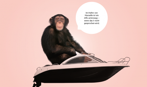 Affe sitzt in einem Boot