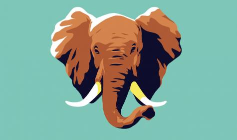 Elefant