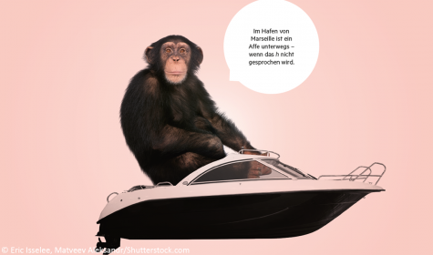 Affe sitzt in einem Boot