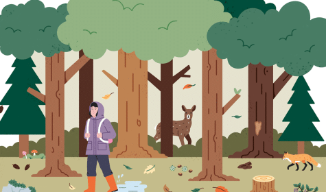 Illustration: Im Wald