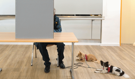Wahlkabine