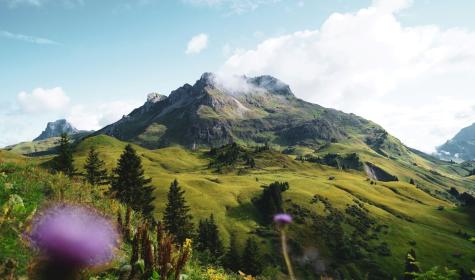 Berg