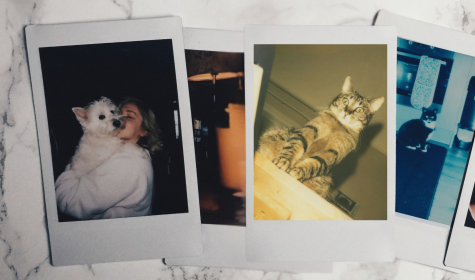 Polaroids